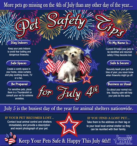 How to protect your pets during 4th of July holiday