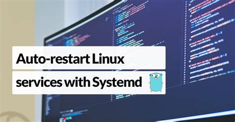 How to provide a restart count to systemd service