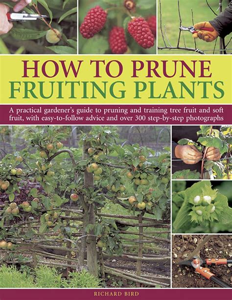 How to prune fruiting plants a practical gardener s guide. - Ford ranger manual tire hoist replacement.