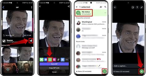 How to put GIFs in your WhatsApp status - Malavida