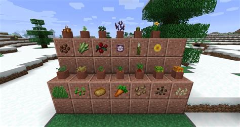How to put a picture in minecraft