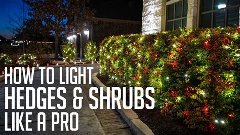How to put christmas lights in yard