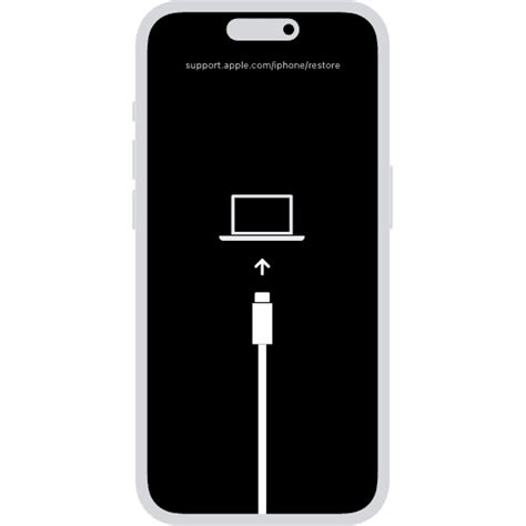 How to put device in dfu mode