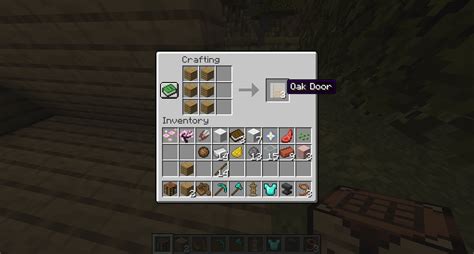 How to put door in minecraft