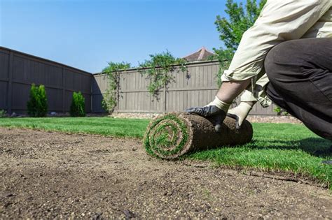 How to put new grass in yard