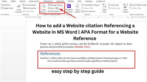 How to put websites in apa format