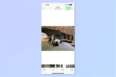 How to quickly undo edits in iOS Photos Tom s Guide