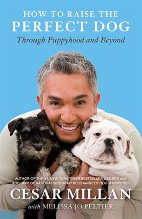 How to raise a puppy cesar millan. - Esta lleno su cubo?/ how full is your bucket?.