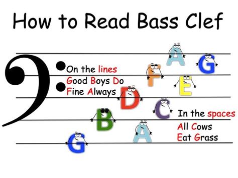 How to read bass clef. Do you know the names of the notes on the bass clef staff? If you want to improve your bass reading skills, try this free online app that tests your bass clef note recognition. You can choose the difficulty level, the range of notes, and the time limit. StudyBass Bass Clef Note Quiz is a fun and effective way to learn the bass clef notes. 