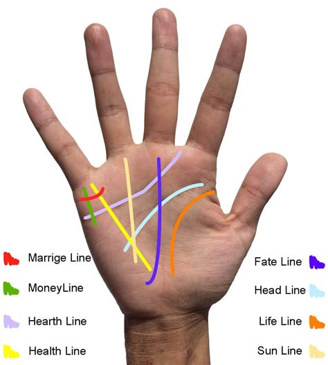 How to read life line in palmistry