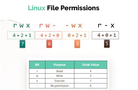 How to read permissions in linux