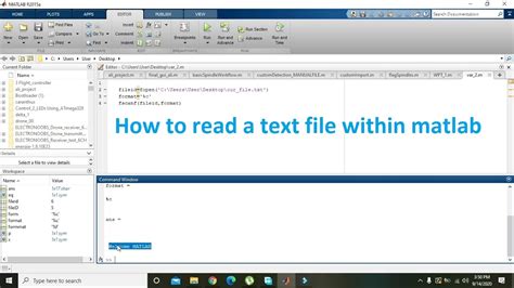 How to read text file in matlab