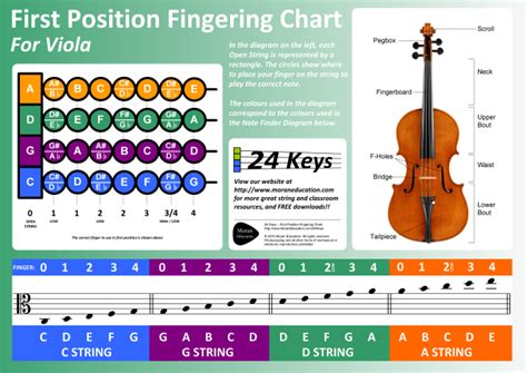 How to read viola sheet music - SoundAcademy