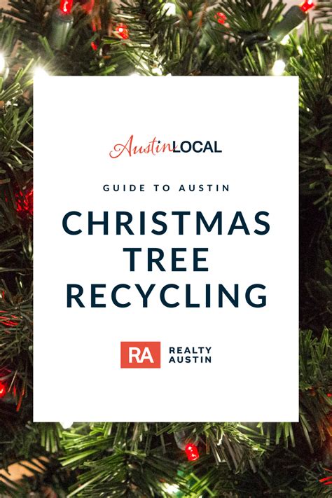 How to recycle your Christmas tree in Austin