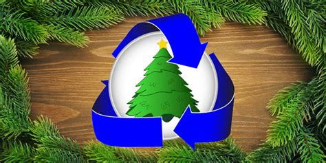 How to recycle your Christmas tree in and around Austin