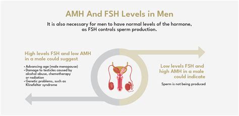 How to reduce fsh in male