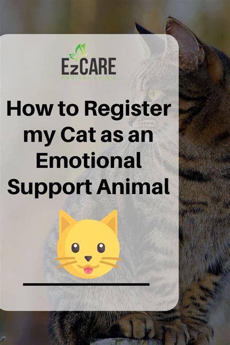 How to register a cat as an emotional support animal. Jul 12, 2023 · How To Make My Cat An Emotional Support Animal: Connect with a licensed mental health professional in your state to see if you … 