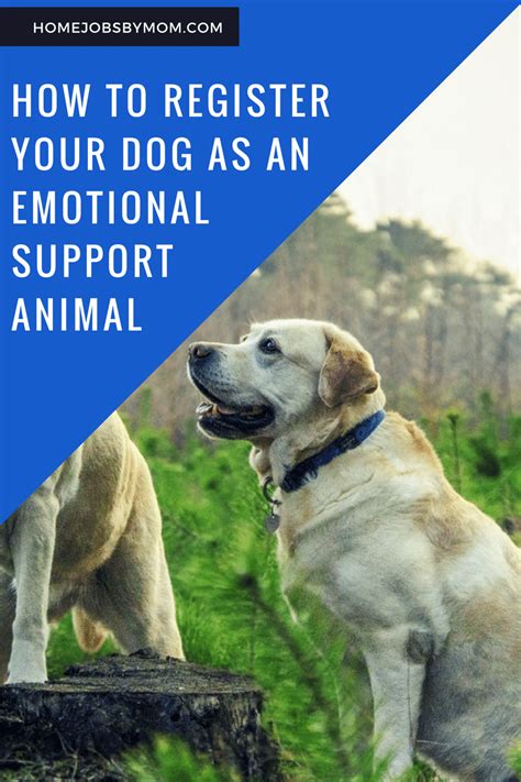 How to register a dog as an emotional support animal. Emotional support animals, or ESAs, are owned by people with mental health issues such as depression, anxiety, and PTSD. Emotional support animals help alleviate symptoms of these mental health conditions by being present in their owners’ lives. Under the Fair Housing Act, housing providers must reasonably accommodate ESA owners. 