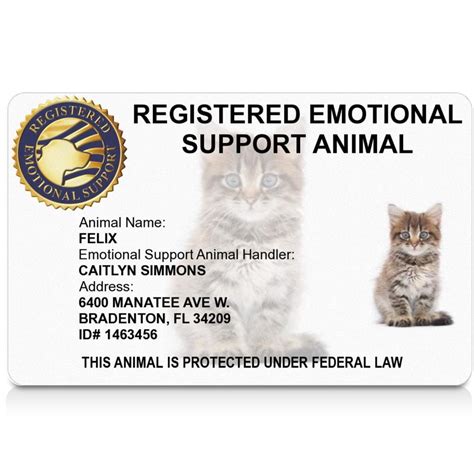 How to register an emotional support animal. With US Service Animals, you can talk to a mental health professional and register your emotional support animal quickly. Simply follow the steps provided on our website. You won’t have to pay anything unless the mental health professional approves your request. Then, you will receive your ESA letter, granting you all of the rights and … 