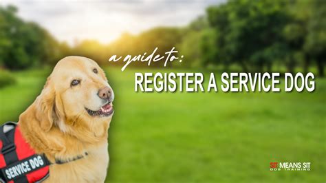 How to register my dog as a service dog. Step 1: Identify Specific Tasks. Determine the specific tasks your service dog will need to perform. These tasks should directly assist the individual with a disability. For example, a medical alert dog may need to detect changes in blood sugar levels. 