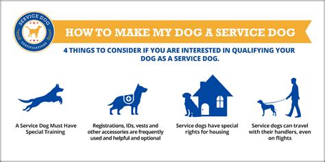 How to register your dog as a service dog. Because the ADA does not directly support service dog registration, it is essential to find the right organization to register your service dog.The right Service Dog Certifications and Registry will provide support for service dog owners. By ordering a custom identification card for you and your Service Dog, you help others follow the … 