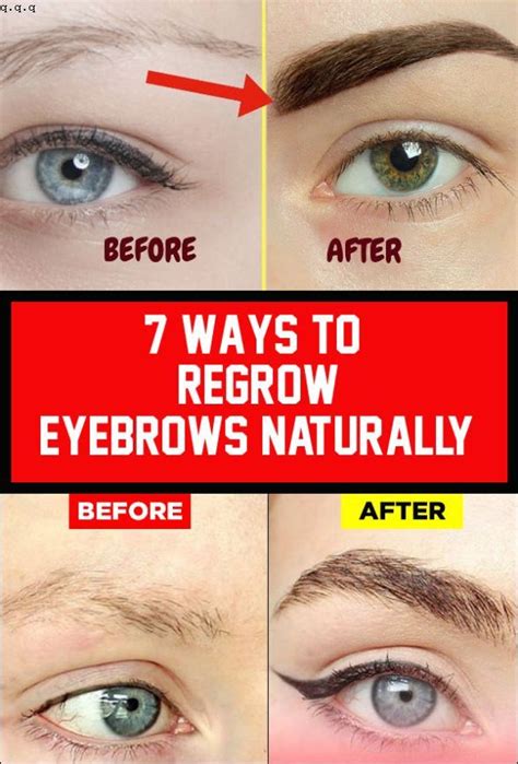 How to regrow eyebrows. Here’s how to grow eyebrows using egg yolk. Break at least 1 egg and separate the yolk from the white part. Beat the yellow yolk to make a good consistency. Use a cotton swab to apply the egg yolk to the eyebrows. Leave it on for about 20 minutes and then wash it off using cold water. Rinse it off using cold water. 