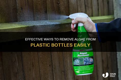 How to remove algae from plastic water bottle.  Shake like a madman for a while.  ...