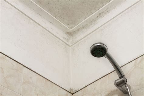 How to remove bathroom mold on ceiling. This is why it is so important to remove black mold from your bathroom tile. Step 1: Remove black mold by spraying household cleaner on the area. Scrub until you have removed the visible fungus. Wipe away the grime and place the towels in a trash bag. Repeat as necessary. 