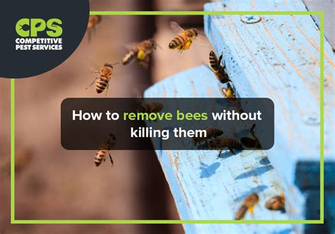 How to remove bees. Steps to Remove Bees Nest from a Grill. Removing a bee nest from a grill requires care and caution. Here are simple steps to take to safely remove the nest: Firstly, put on protective clothing including … 
