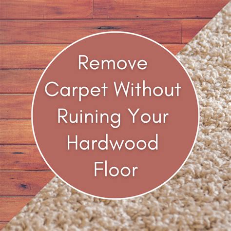 How to remove carpet. Things To Know About How to remove carpet. 