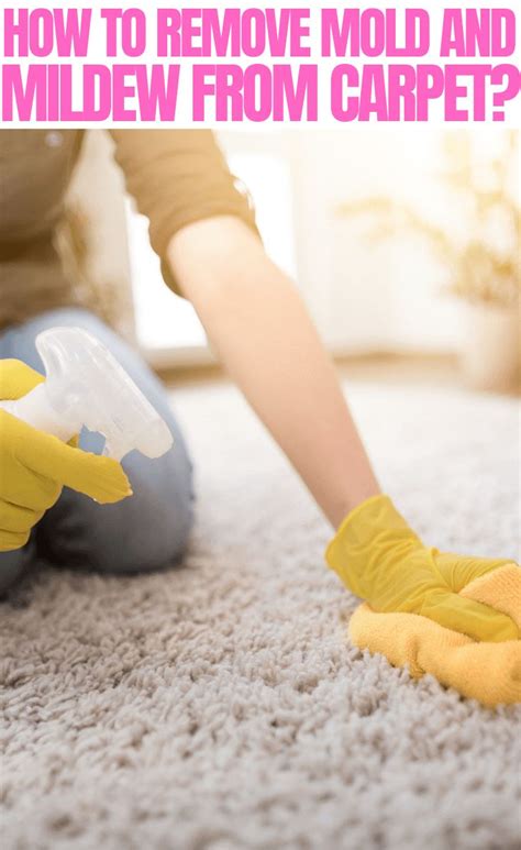 How to remove mold from carpet. Oct 7, 2021 · Add one-quarter of a tablespoon of baking soda to a spray bottle of water and shake until it has dissolved. Spray the moldy area with the baking soda and water solution, then use a scrub brush to remove mold from the surface. Next, rinse the surface with water to remove any residue and baking soda. 