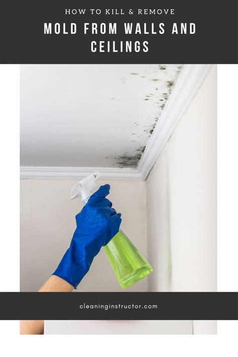 How to remove mold from ceiling. Mold and mildew growth is common in areas of your home that collect lots of moisture. You may notice black mold or mildew in bathrooms, kitchens or basements. Mold and mildew can c... 