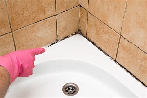 How to remove mold from shower caulking. May 13, 2014 · After letting the bleach work for 10 or 15 minutes give the area a rinse with a damp cloth to remove the bleach residue. Then dry the area with a cloth. Wait a couple of hours to make sure the ... 