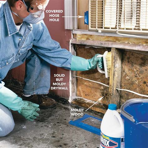 How to remove mould from house. One of the most popular house cleaning tips for removing mold is to use vinegar since it kills many bacteria, including molds. Just mix vinegar and water in a 1:1 ratio in a spray bottle. Spray all over the affected crawl space walls or floor. Let it sit for a few minutes, and then scrub the area. Rinse with water afterward. 
