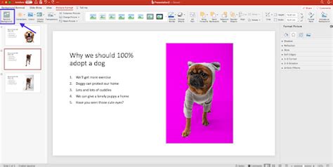 How to remove picture background in powerpoint