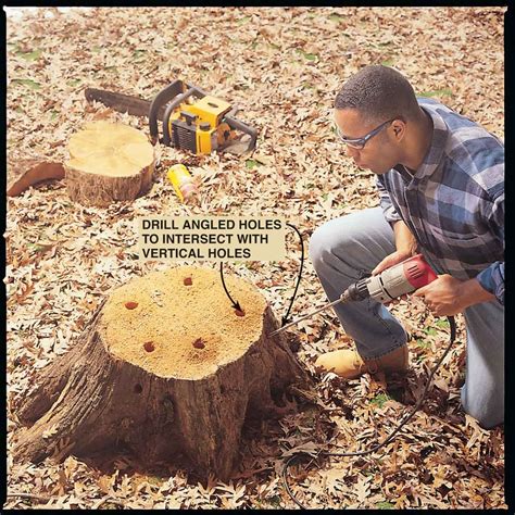 How to remove stump. Get your protective equipment on (yes, all of it) Cut the tree stump down close to the ground level. Dig all the dirt away from the stump – exposing the roots. Cut the roots with a chainsaw. Pry the stump from the ground. Dispose of the stump. How to Use a Chainsaw to remove stumps – BestHomeGear.com. 