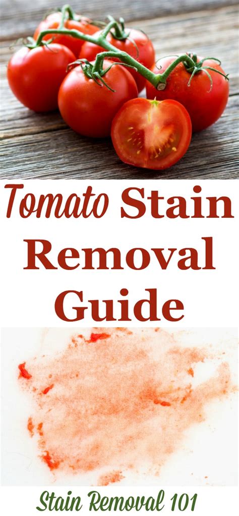 How to remove tomato stains. Step 1: Blot Excess Sauce or Juice. The first step is to blot up any excess sauce or juice with a paper towel or cloth. Make sure to dab the stain rather than wiping it, as it can spread the stain further. Once the excess is removed, the next step is to make a cleaning solution. 