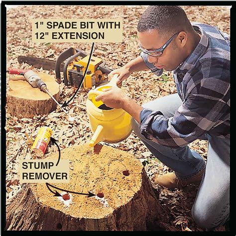 How to remove tree stumps. Tree Stump Removal Process. To begin, dig around the base of the tree stump as deep as you can to expose as much of the tree roots as possible. Then using the drill with the significant drill bit, make holes in the top of the stump about 2″ apart and roughly 8″ to 10 “deep at a 30-degree angle. As well as drilling holes in the top, drill ... 