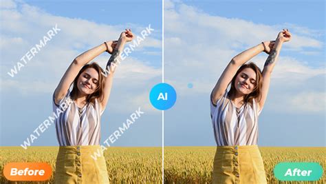 How to remove watermark in picasa