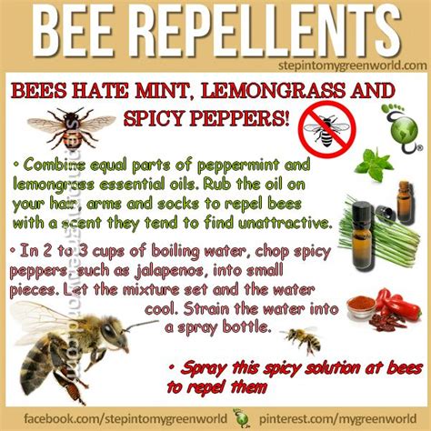 How to repel bees. Rosemary, spearmint, mint, cloves, and oregano are all known to repel bees naturally. Make a simple potpourri out of dried herbs and hang it up or mix into planters when the scent has wilted. For the most part, the “nose knows” when it comes to identifying the scents bees will hightail it from. 