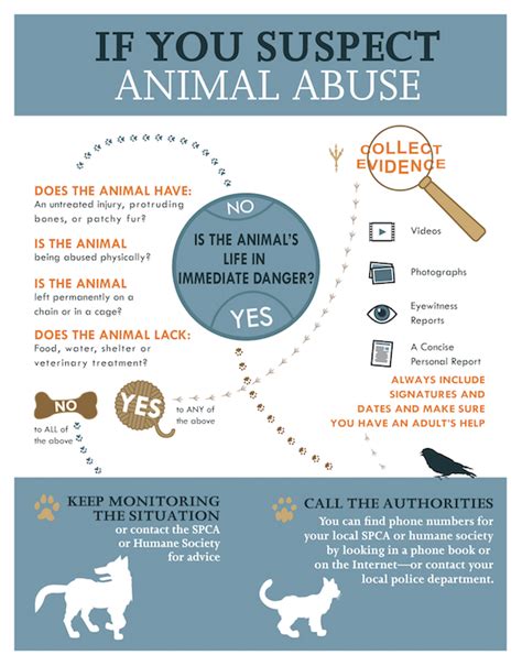 How to report animal neglect. Animals depend on you to be their voice. If you witness anim al abuse or neglect, report it immediately. Most counties have a humane society or animal protec tion league. Their job i s to investigate animal cruelty, neglect, or abuse. Contact your county's local hu mane society or ani m al cruelty organiz ation! 