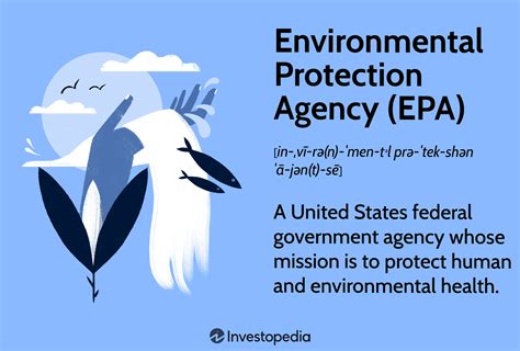 How to report t values in apa.  Environmental Protection Agency (EPA). S.  P...