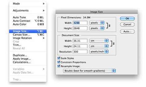How to resize gif in photoshop