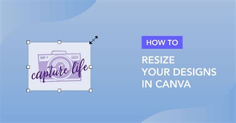 How to resize your designs in Canva. Design Bundles