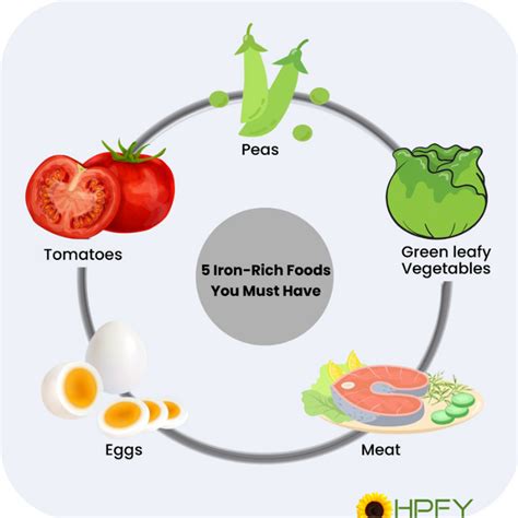 How to retain iron in your body