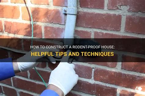 How to rodent proof your house.  Look for: Entry Points: Check for Discover essential tips ...