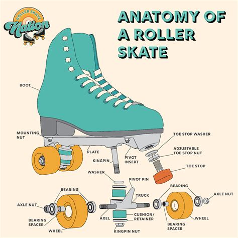 How to rollerskate. Roller Skate Shoes for Women&Men Classic PU Leather High-top Double-Row Roller Skates for Beginner, Professional Indoor Outdoor Four-Wheel Shiny Roller Skates for Girls Unisex. Options: 10 sizes. 4.5 out of 5 stars. 1,018. 50+ bought in past month. $39.59 $ 39. 59. FREE delivery Thu, Mar 21 . 