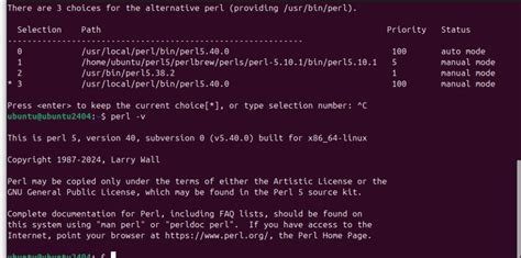 How to run perl in ubuntu