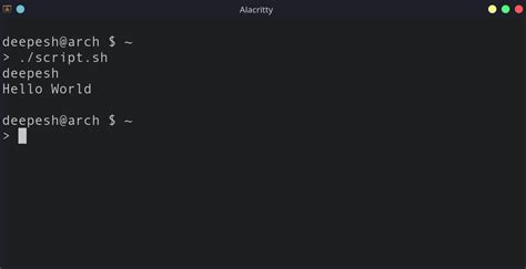 How to run script in bash