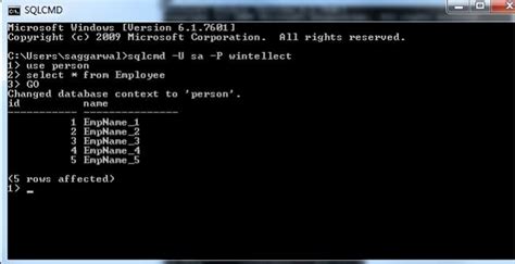 How to run sql in command prompt